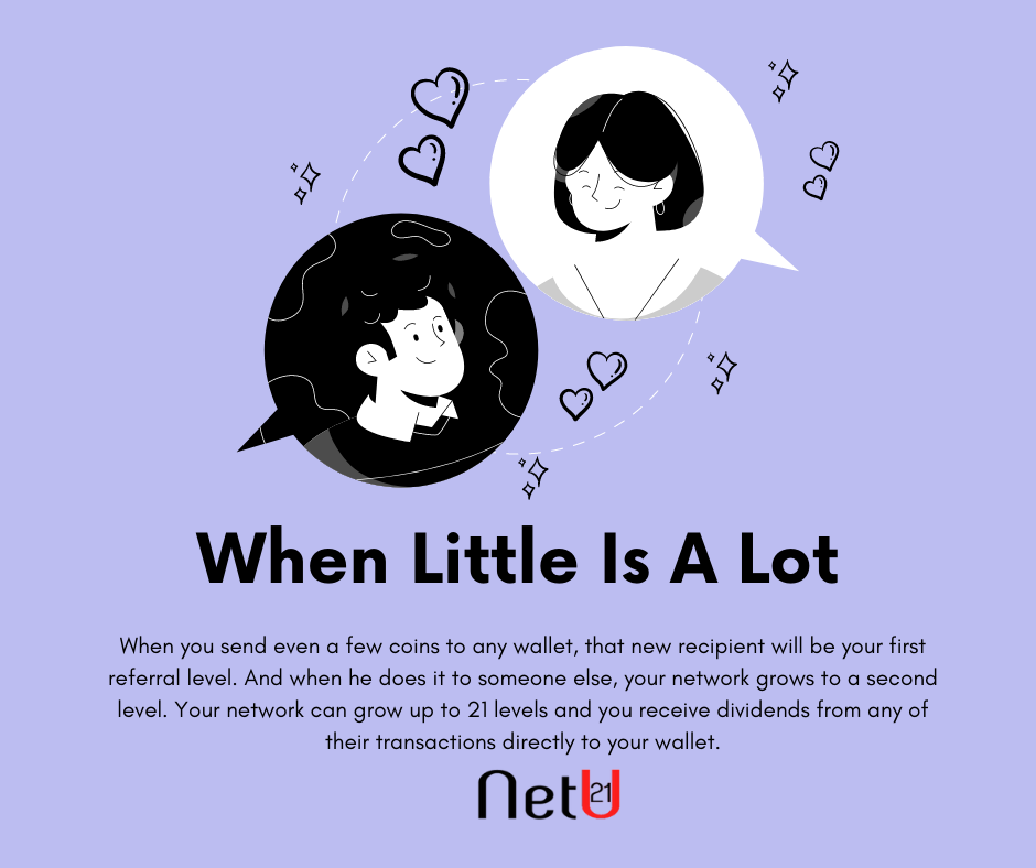 NETU21 About